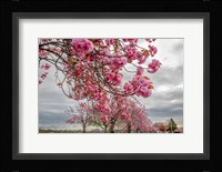 Spiritual Switch 1 Fine Art Print