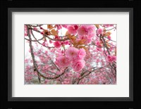 Spiritual Switch 2 Fine Art Print