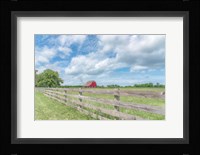 Illustrious Stretch Fine Art Print