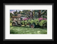 Sympathy Of Generosity Fine Art Print