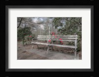 Familiar Romance Fine Art Print