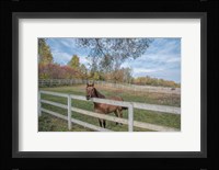 Perseverance Of Amazement Fine Art Print