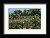 James Port Fine Art Print