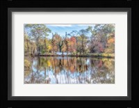 Bayshore Fine Art Print