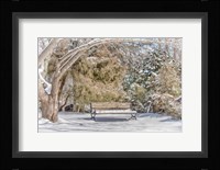Arboretum 1 Fine Art Print