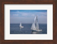 Sail Boats Fine Art Print