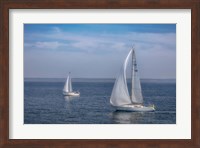 Sail Boats Fine Art Print