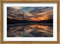 Priority Of Reflection Fine Art Print