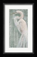 Coastal Egret II Green Fine Art Print