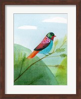 Colorful Birds IV Fine Art Print
