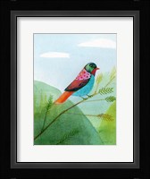 Colorful Birds IV Framed Print