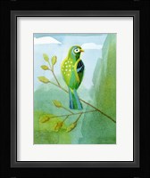 Colorful Birds III Framed Print