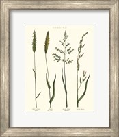 Herbal Botanical Study I Ivory Fine Art Print