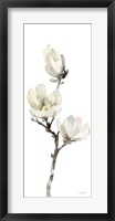 White Magnolia I Panel Fine Art Print
