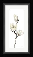 White Magnolia I Panel Framed Print