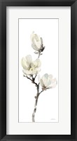 White Magnolia I Panel Framed Print