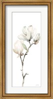 White Magnolia II Panel Fine Art Print