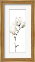 White Magnolia II Panel Fine Art Print