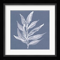 Leaf Study IV Blue Framed Print