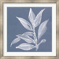Leaf Study I Blue Fine Art Print