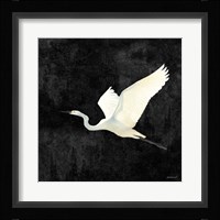Egret Alighting II Flipped Black Framed Print