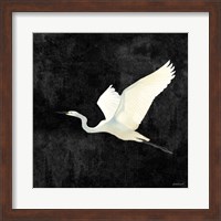 Egret Alighting II Flipped Black Fine Art Print