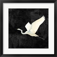 Egret Alighting II Flipped Black Framed Print