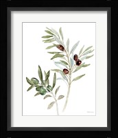 Mediterranean Motif IX on White Fine Art Print