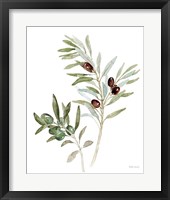 Mediterranean Motif IX on White Framed Print