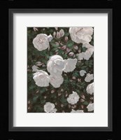 Subtle Evening Fine Art Print