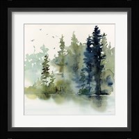 Northern Woods Framed Print