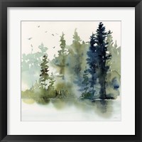 Northern Woods Framed Print
