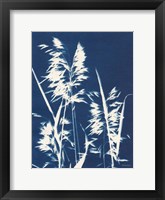 Ornamental Grass VI Fine Art Print