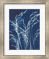 Ornamental Grass V Fine Art Print