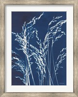 Ornamental Grass V Fine Art Print