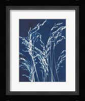Ornamental Grass V Framed Print