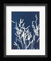 Ornamental Grass IV Framed Print