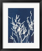 Ornamental Grass IV Framed Print