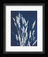 Ornamental Grass III Framed Print
