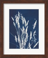 Ornamental Grass III Fine Art Print