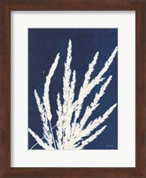 Ornamental Grass II Fine Art Print