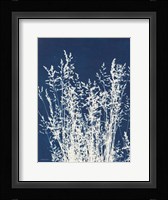 Ornamental Grass I Framed Print