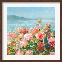 Coastal Dahlias II Fine Art Print