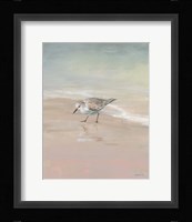 Shorebirds on the Sand III Framed Print