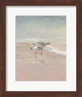 Shorebirds on the Sand III Fine Art Print