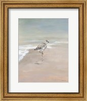 Shorebirds on the Sand II Fine Art Print