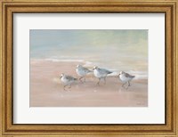 Shorebirds on the Sand I Fine Art Print