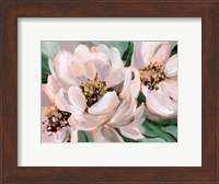 Blush Peonies Fine Art Print