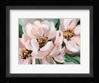 Blush Peonies Fine Art Print