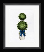 Topiaries 1 Fine Art Print